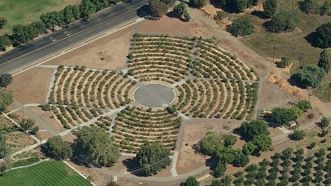 'San Jose Heritage Rose Garden'  photo
