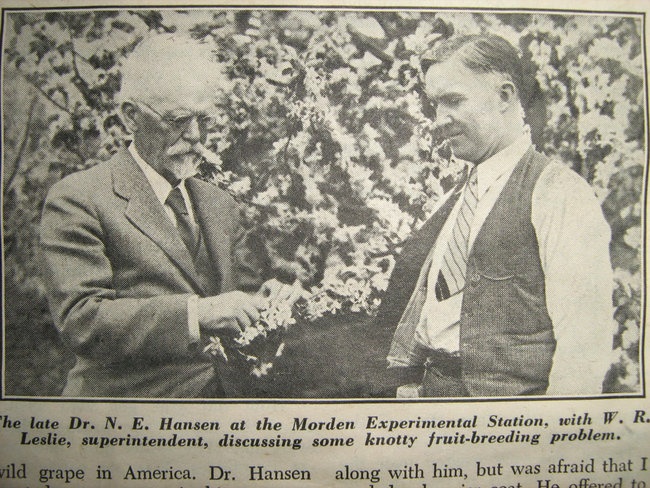 'Hansen, Niels Ebbesen'  photo