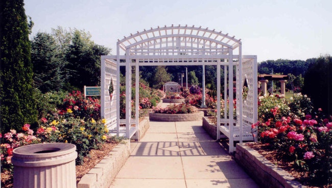 'Frank's Nursery Rose Garden'  photo