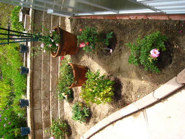 'Garden'  photo