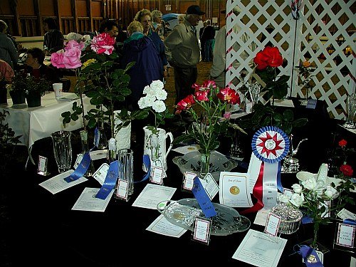 'Rhode Island Rose Society'  photo