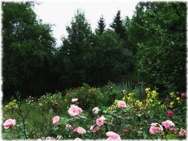 'Jardin de l'ours(the baer garden)'  photo