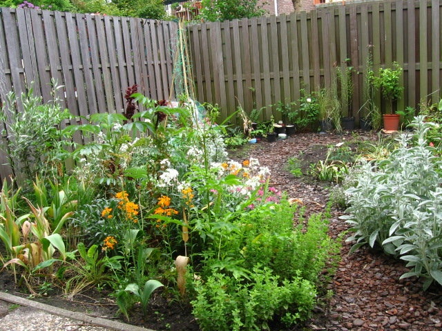 'My Garden'  photo