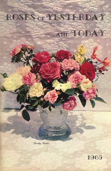 'Roses of Yesterday and Today'  photo