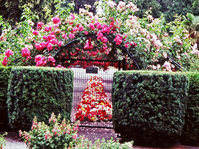 'Point Defiance Rose Garden'  photo