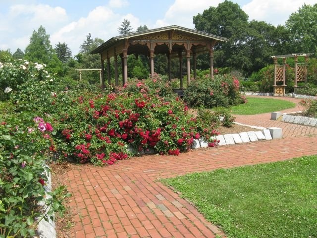'Roger Williams Park Victorian Rose Garden'  photo