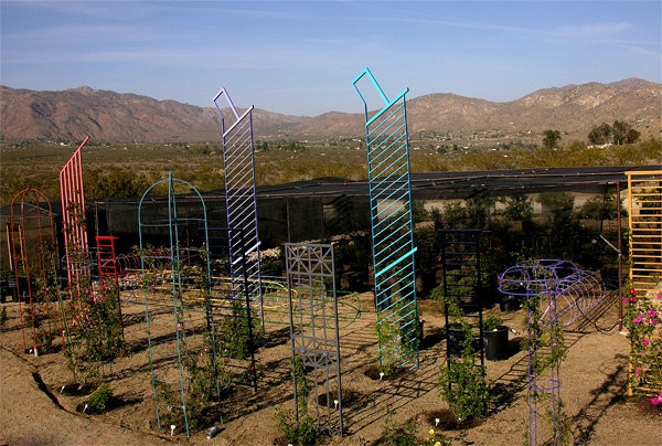 'Cliff's High Desert Garden Archival Dec, 2011 last updated 101812'  photo