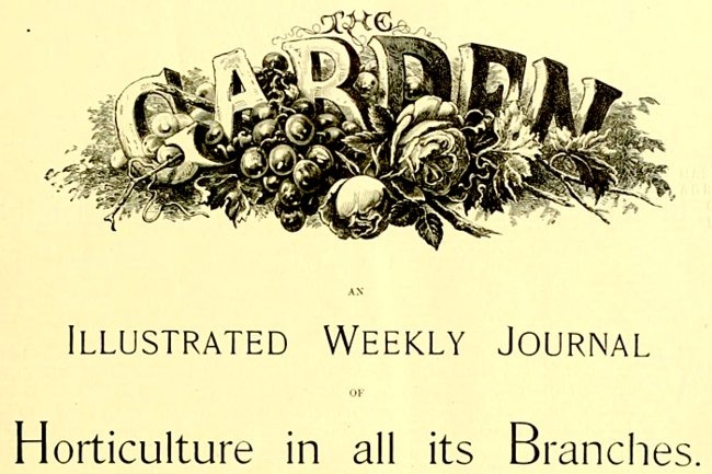 'The Garden: An Illustrated Weekly Journal of Horticulture in All its Branches'  photo