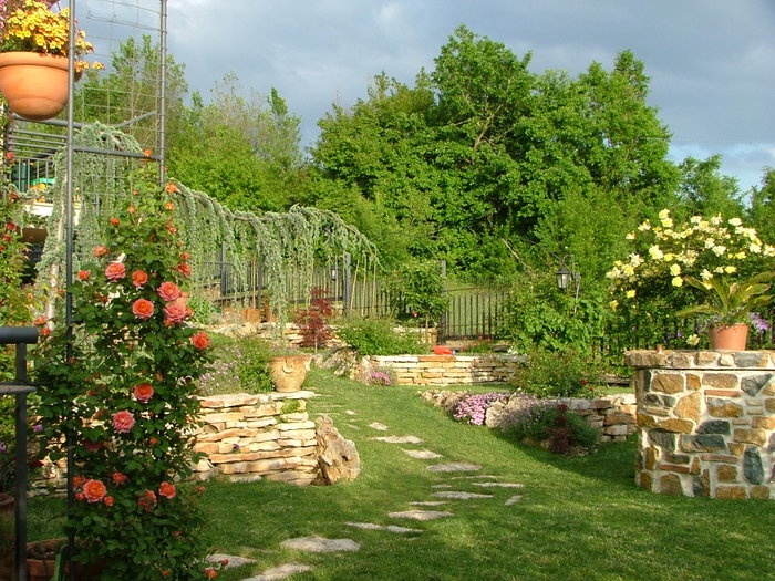 'Luca's garden'  photo