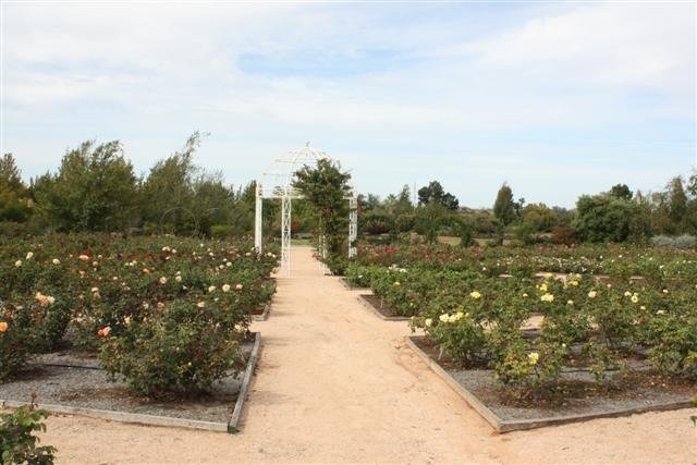 'Australian Inland Botanic Gardens'  photo