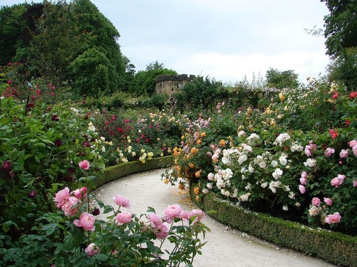 'The Alnwick Garden'  photo