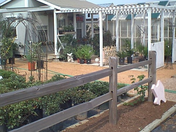 'Dirt & Roses Nursery (Bastrop/Elgin/Austin)'  photo