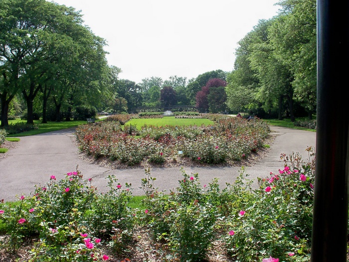 'Columbus Park of Roses'  photo