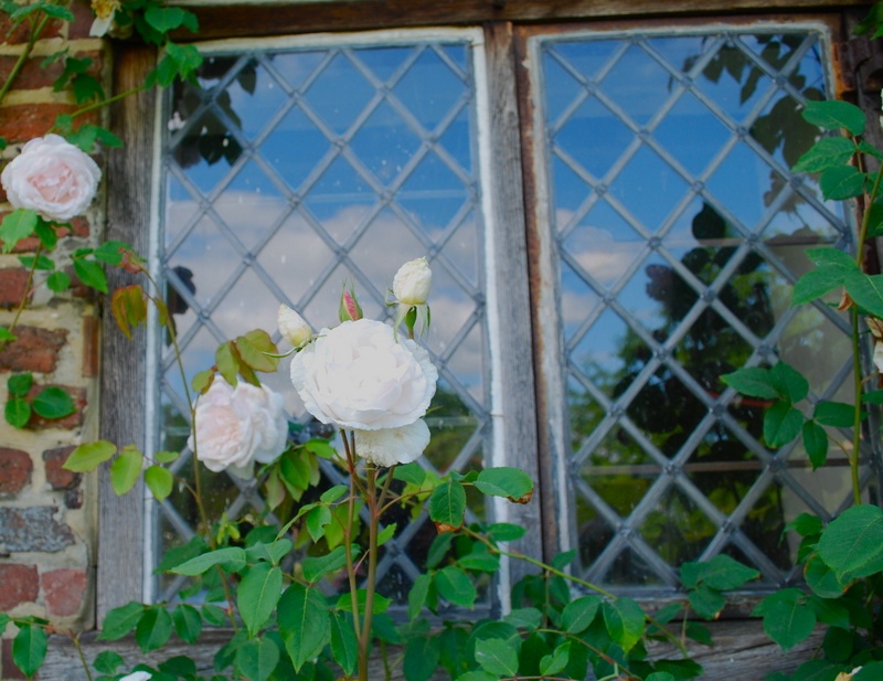 'Sissinghurst Castle Garden'  photo