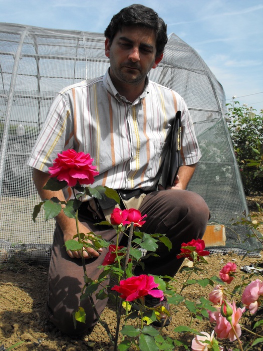 'Alberici Marc Garden'  photo