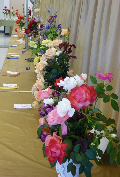 'Desert Rose Society Annual Fall Show'  photo