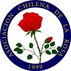 'Asociación Chilena de la Rosa'  photo