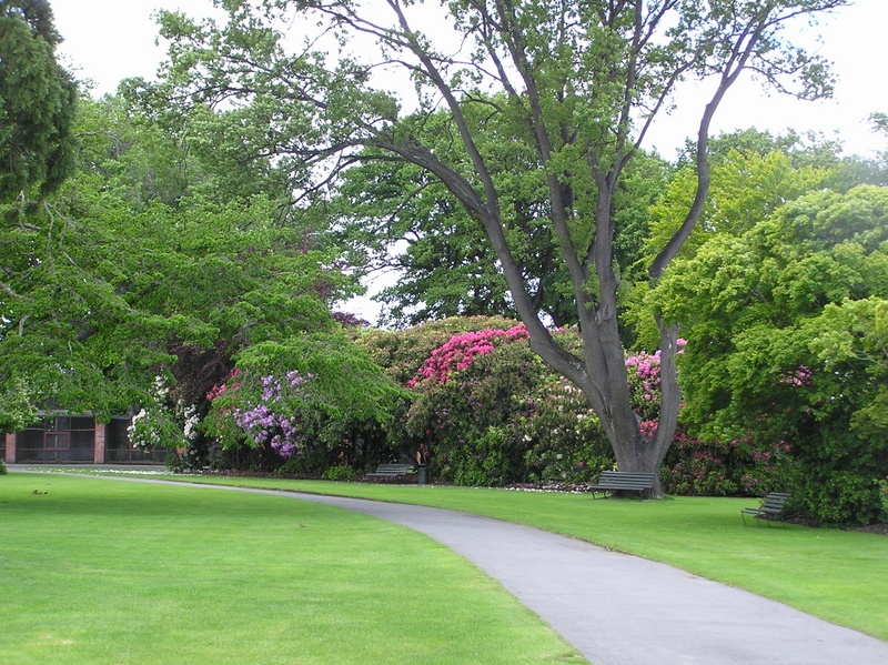 'Gore Public Gardens'  photo