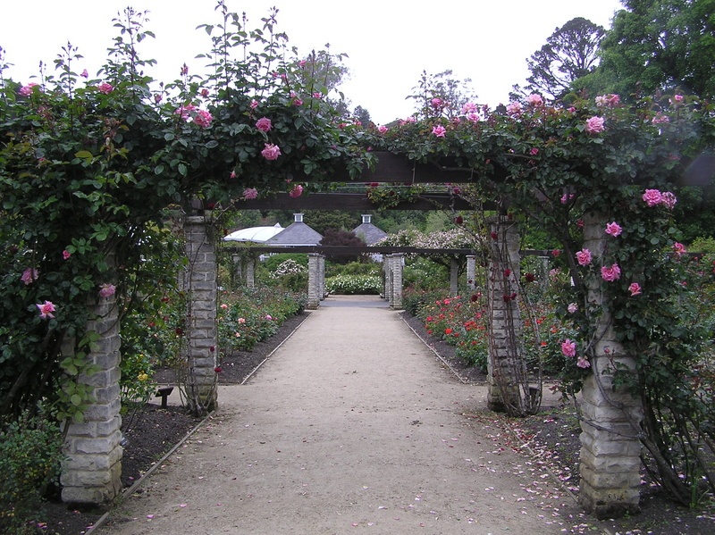 'Dunedin Botanic Garden'  photo