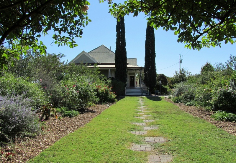 'Antique Rose Emporium (Brenham, Texas)'  photo