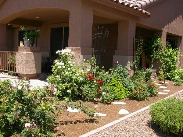 'Desert Rat Rose Garden'  photo