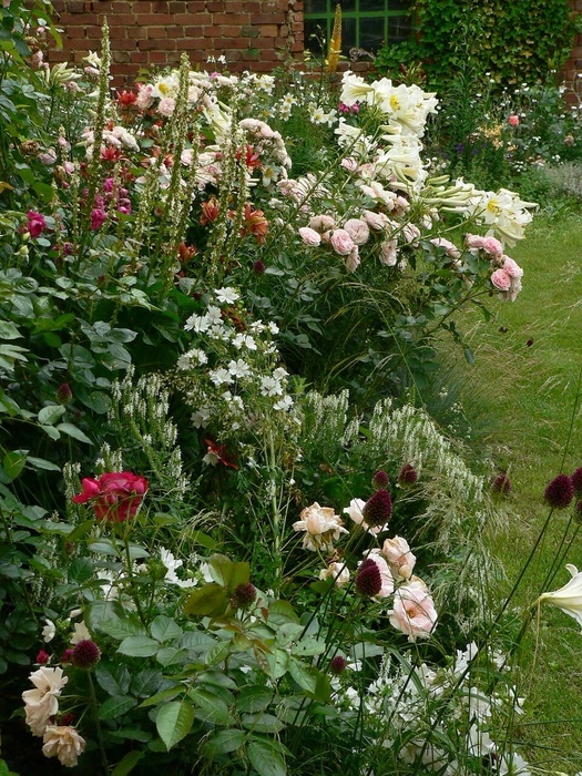 'A Big Hobby - My Small City Garden'  photo