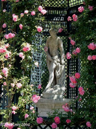 'Roseraie du Val-de-Marne à l'Haÿ-les-roses'  photo