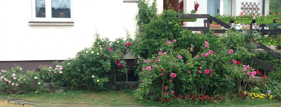 'Jardin Clos'  photo