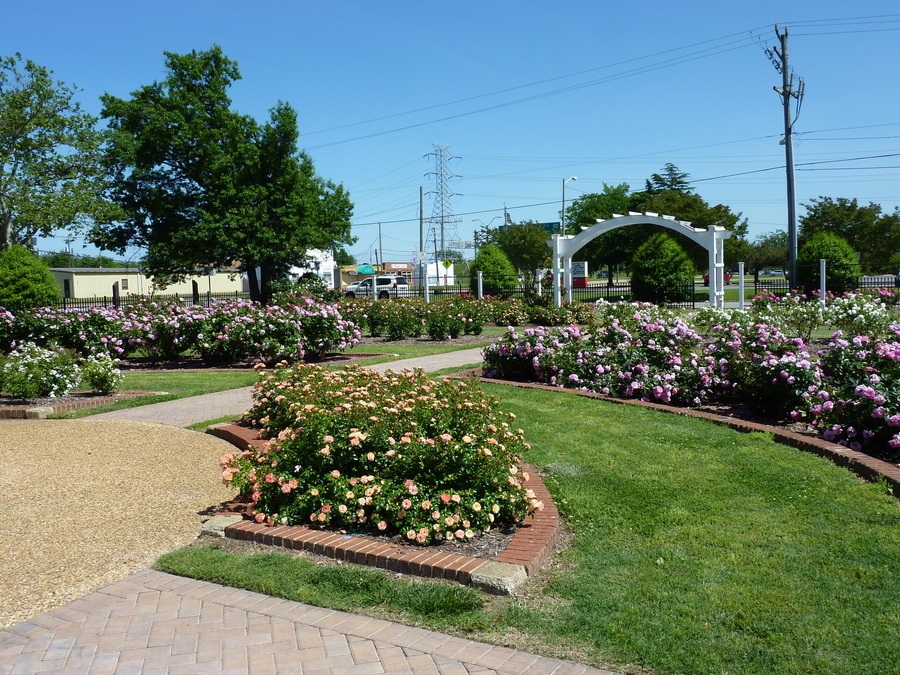 'Huntington Park Rose Garden - City Of Newport News'  photo