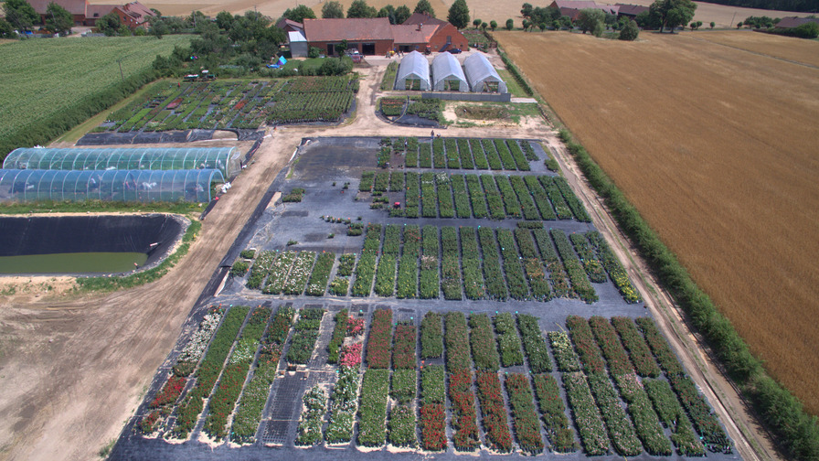 'Rosarium Szkółka Róż'  photo