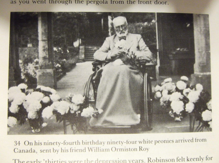 'Robinson, William'  photo