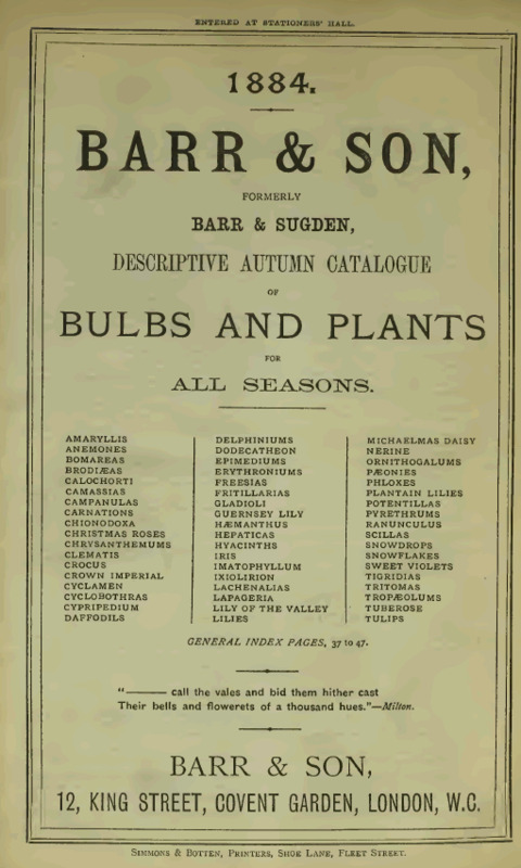'Barr & Son Descriptive Autumn Catalogue of Bulbs and Plants'  photo