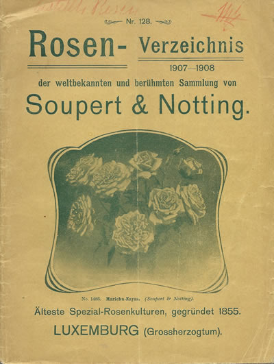 'Soupert & Notting Rosen-Verzeichnis 1907-1908, Nr. 128'  photo