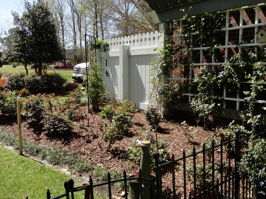 'Rivercrest Rose Garden'  photo