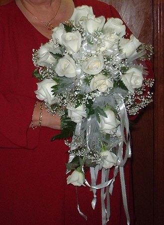 'Bridal White ™ (floribunda, Warriner & Zary 1970)' rose photo