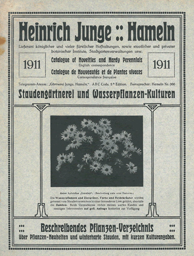 'Heinrich Junge - Hauptverzeichnis'  photo