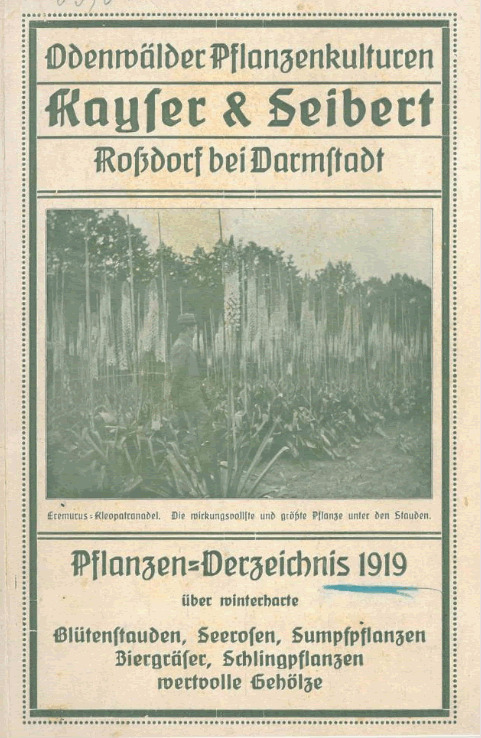 'Kayser & Seibert Pflanzenverzeichnis'  photo