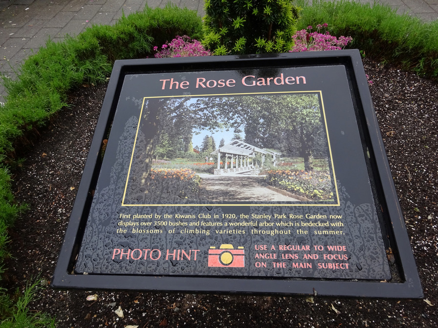 'Stanley Park Rose Garden'  photo