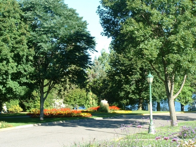 'Munsinger & Clemens Gardens-Virginia Clemens Rose Garden'  photo