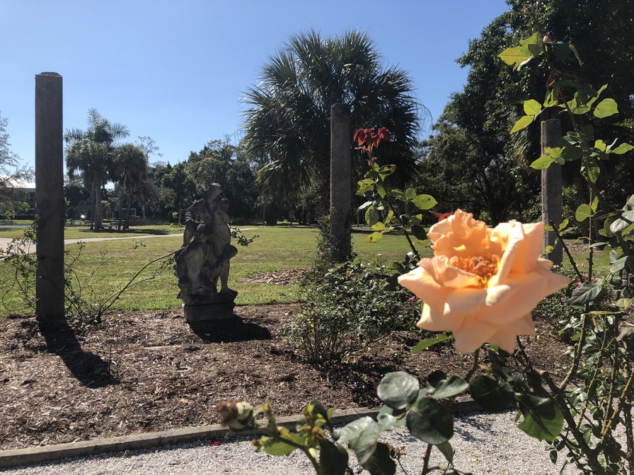 'Mable Ringling Rose Garden'  photo