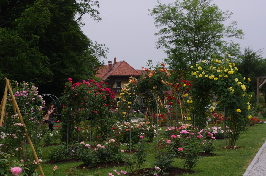 'Arboretum Volcji Potok Official Site'  photo