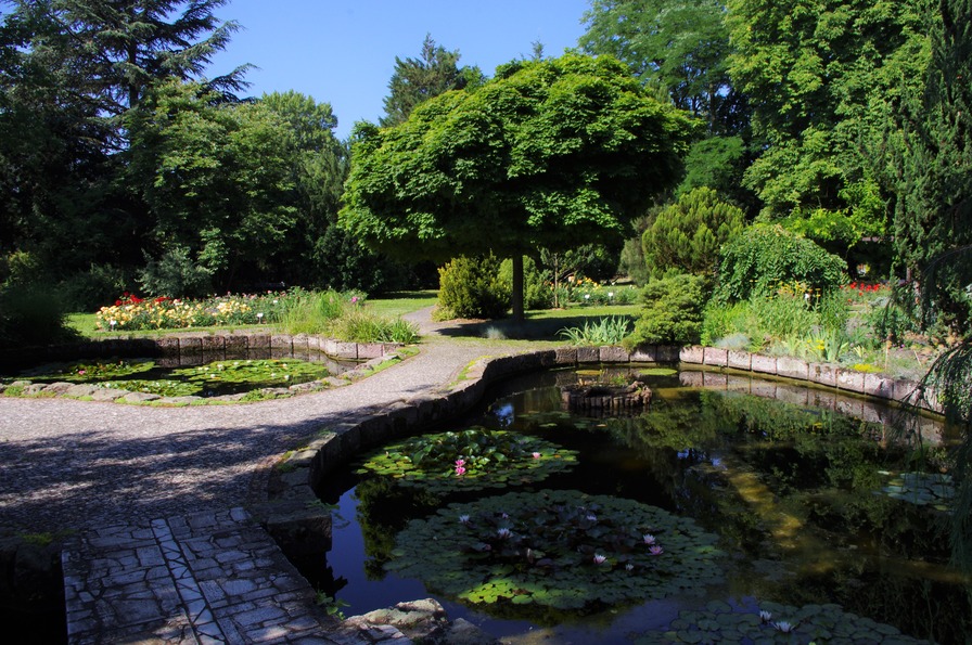 'Botanical Garden of the Comenius University'  photo
