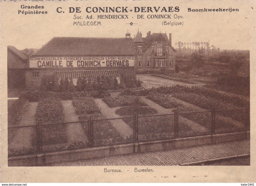 'Grandes Pépinières C. de Coninck-Dervaes'  photo