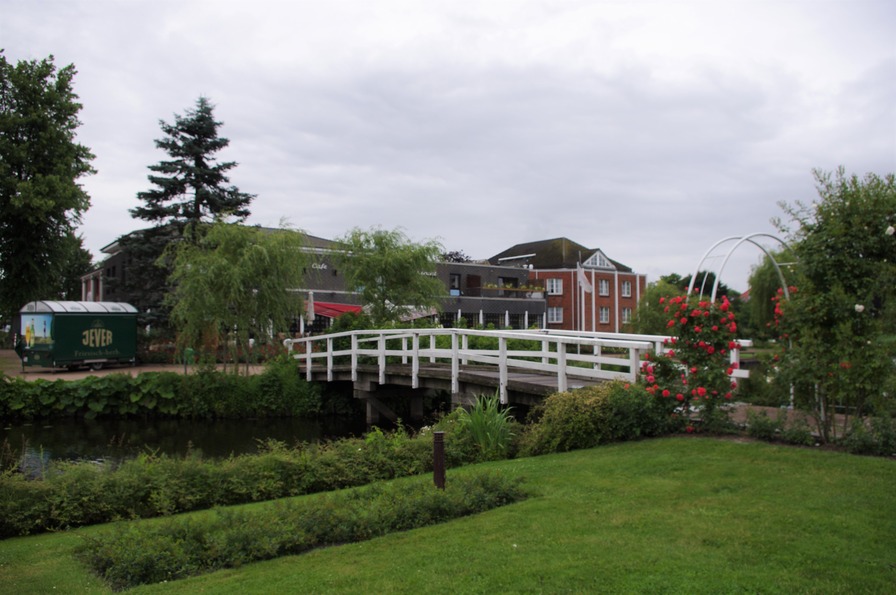 'Rosarium der Stadt Uetersen'  photo