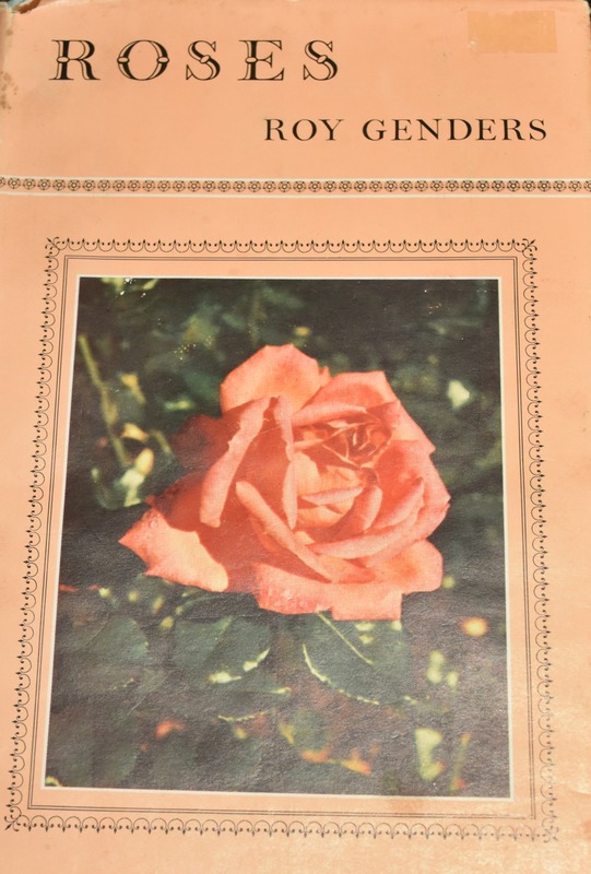 'Roses'  photo