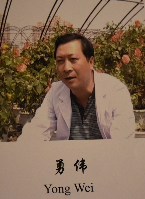 'Yong, Wei'  photo