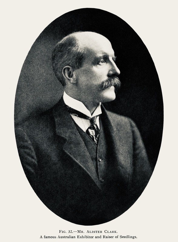 'Clark (1864-1949), Alister'  photo