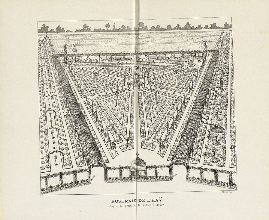 'Roseraie de l'Haÿ - Catalogue 1900'  photo