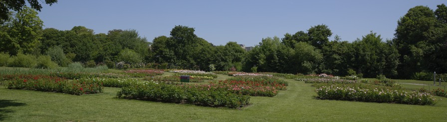 'Westbroekpark'  photo