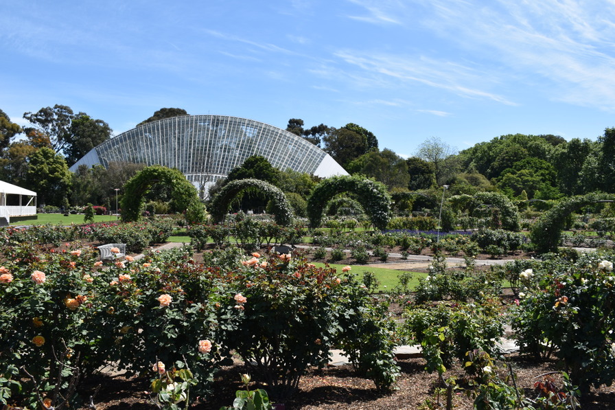 'Adelaide Botanic Gardens'  photo